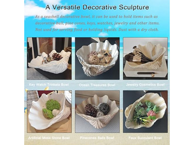 पौधों के लिए नारियल का कटोरा बिना पॉलिश किया गया खोल उकेरे हुए लकड़ी के कटोरे और प्लेटें