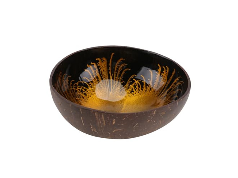 बैनटोन लाइनर्स के लिए कटोरे प्लास्टिक किचन नारियल कटोरा और चम्मच सेट स्मूथी