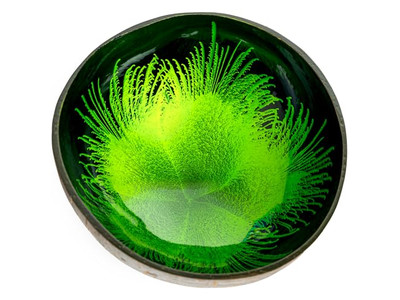 पारिस्थितिकीय कटोरा सेट हस्तनिर्मित लकड़ी के कटोरे नारियल के लिए सूप हीरा आकार