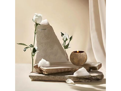 पर्यावरण के अनुकूल टिंट कटोरा गोल पिज्जा आटा सजावटी सलाद कटोरे नारियल