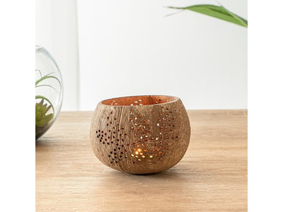 सलाद कटोरा ढक्कन के साथ रंगीन नारियल पालतू स्वस्थ टिकाऊ वियतनाम ट्रेंड कटोरे